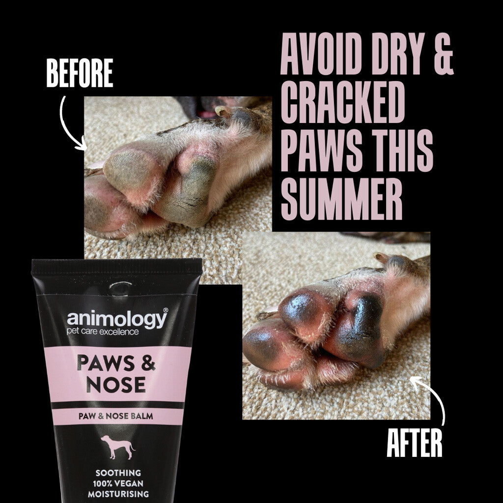Paws & Nose Balm