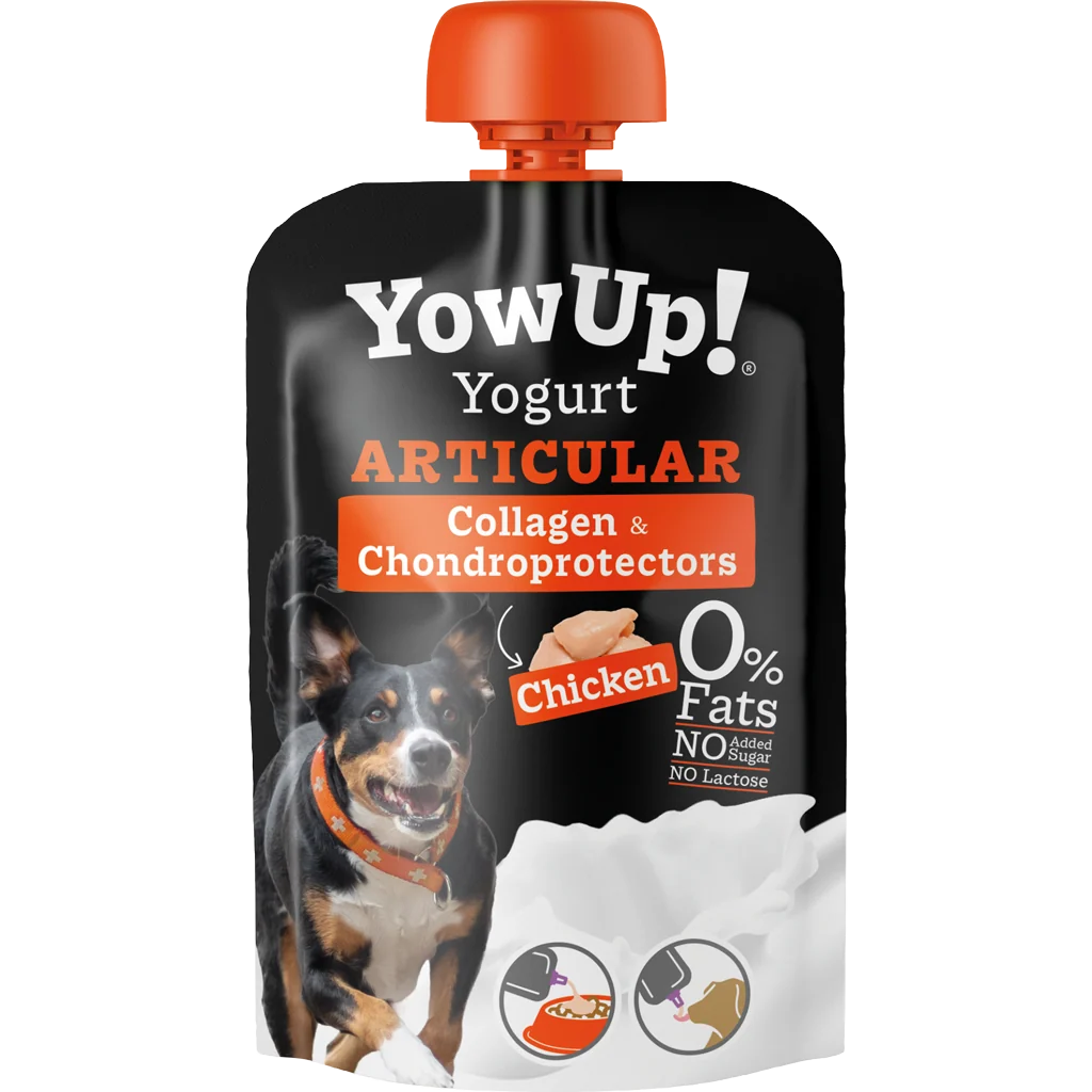 YowUp! Yogurt Articular