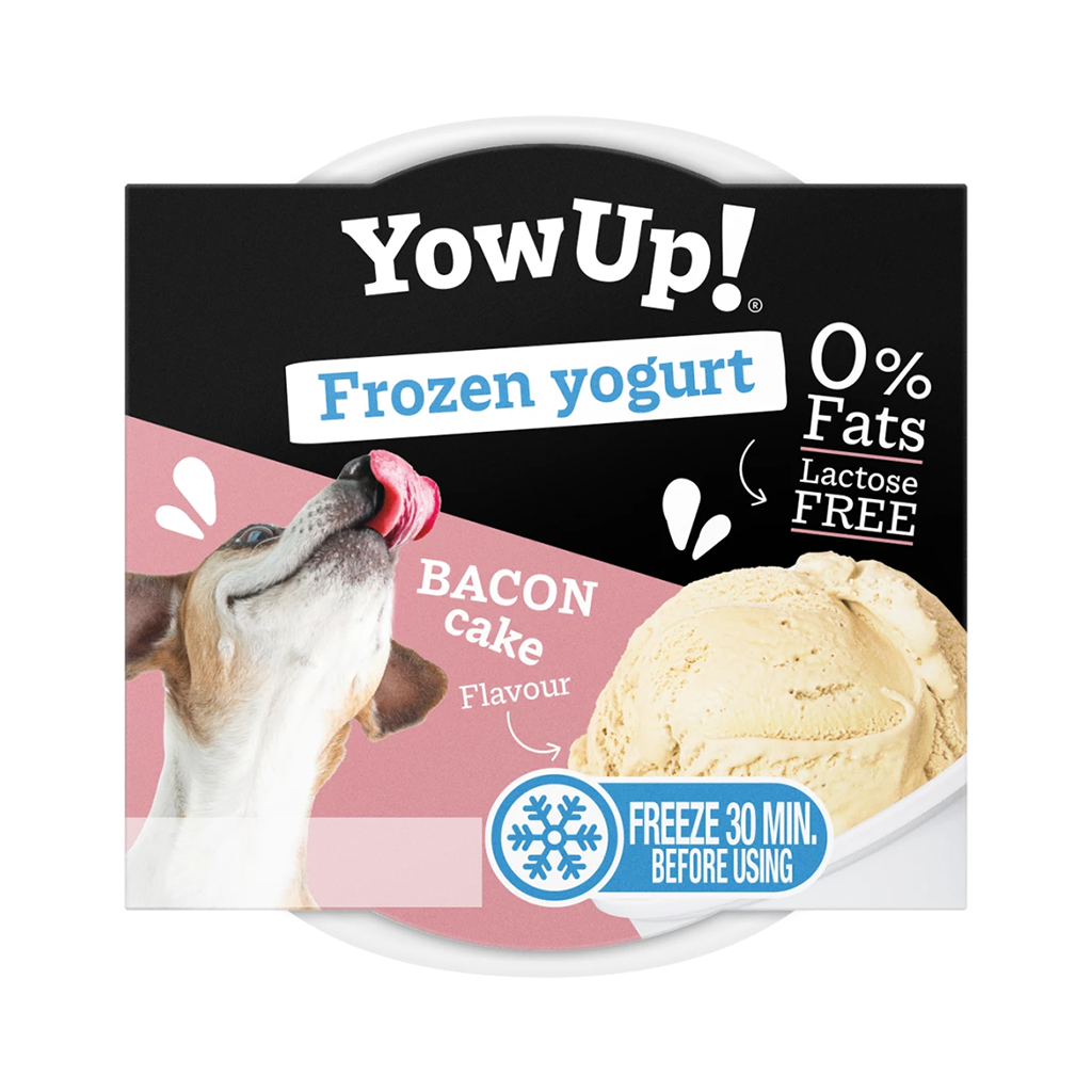 YowUp! Frozen Yoghurt Bacon Cake