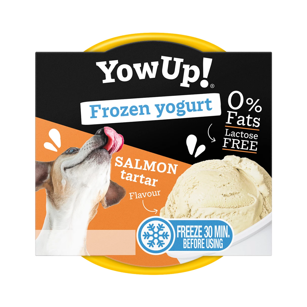 YowUp! Frozen Yoghurt Zalmtartaar