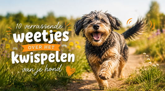 10 verrassende weetjes over het kwispelen van je hond