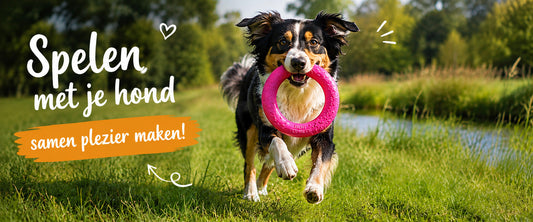 Spelen met je hond: samen plezier maken