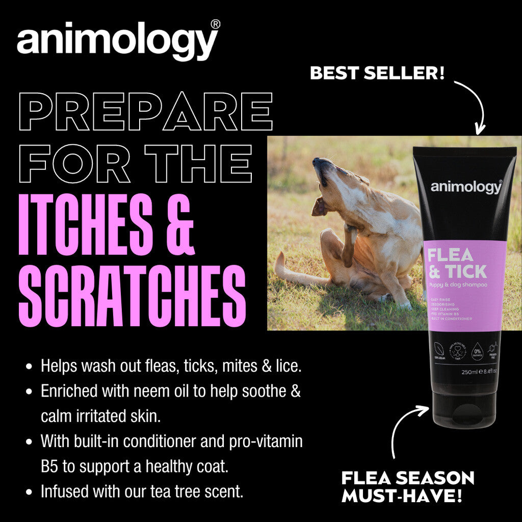 Flea & Tick Dog Shampoo
