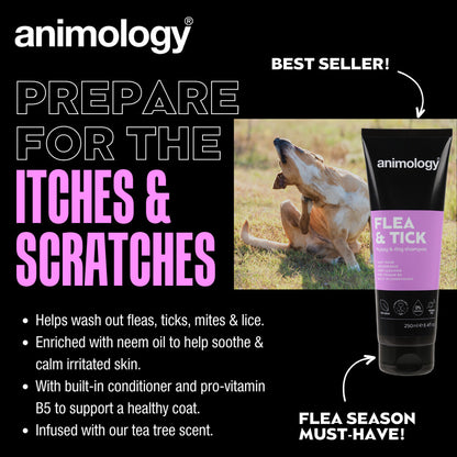 Flea & Tick Dog Shampoo