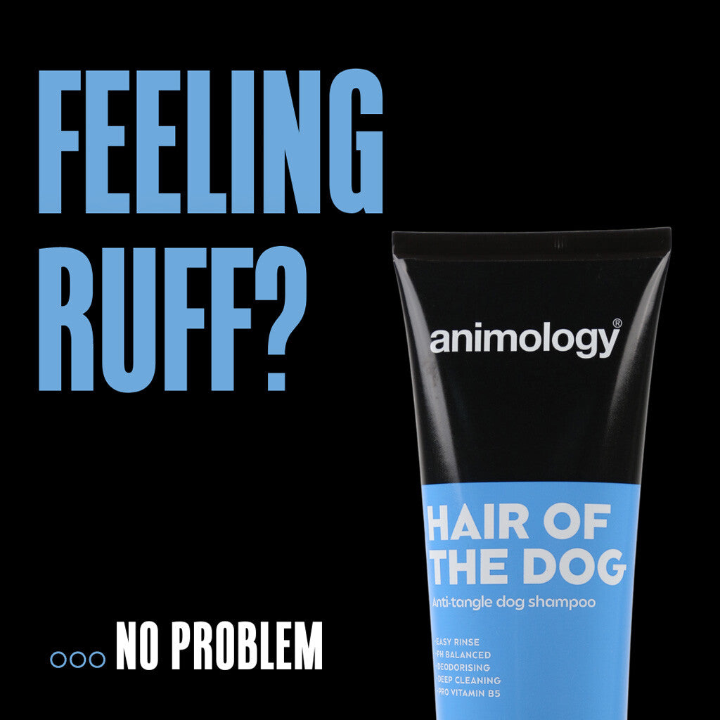 Anti Tangle Dog Shampoo
