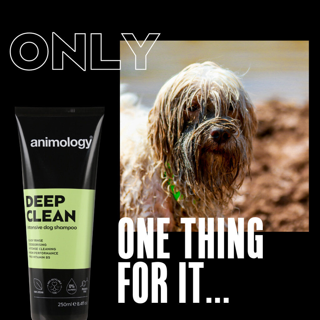 Deep Clean Dog Shampoo