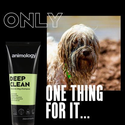 Deep Clean Dog Shampoo