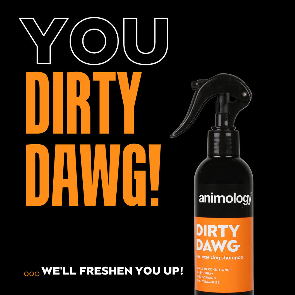 Dirty Dawg No Rinse Dog Shampoo
