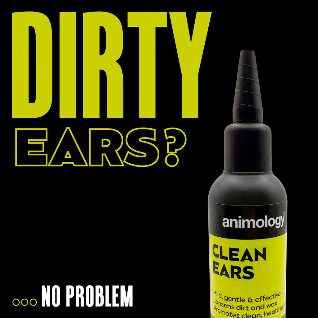 Clean Ears