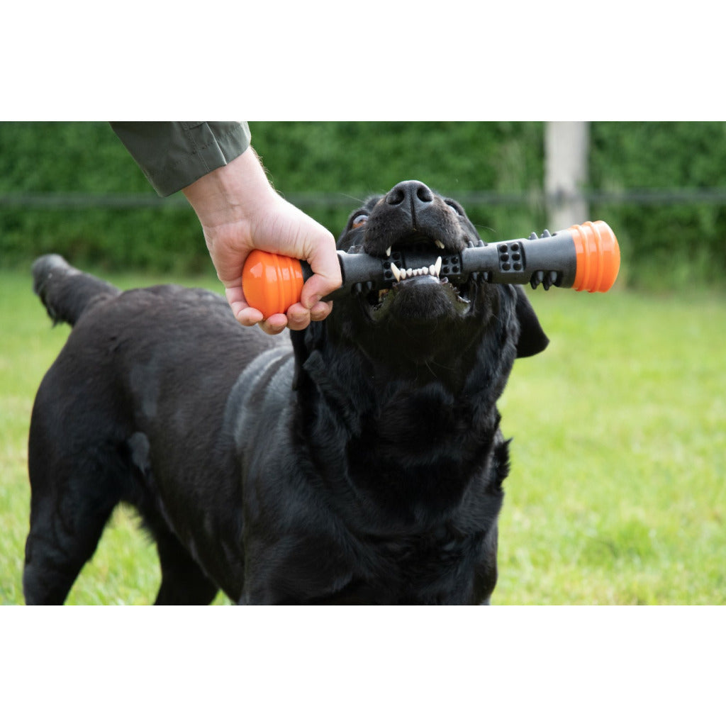 Dog Comets Meteor Werpstok