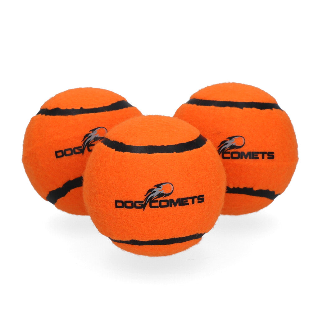 Dog Comets Neutron Star Tennisbal (M)