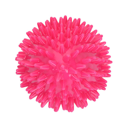 Dog Comets Cosmic Egg