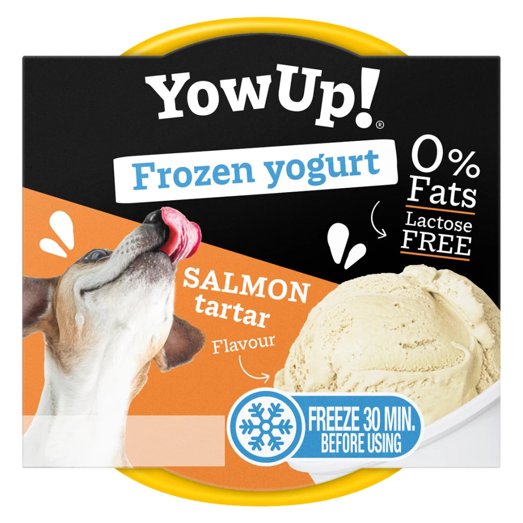 YowUp! Frozen Yoghurt Zalmtartaar