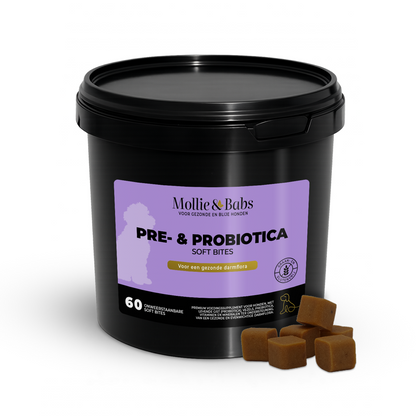 Pre-& Probiotica Supplement