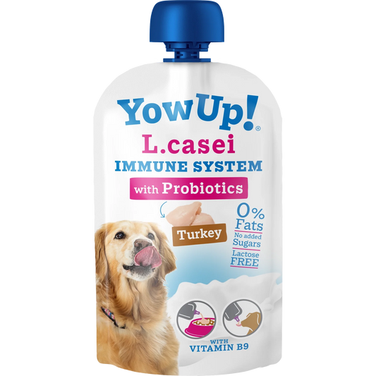 YowUp! Kefir L.Casei Turkey