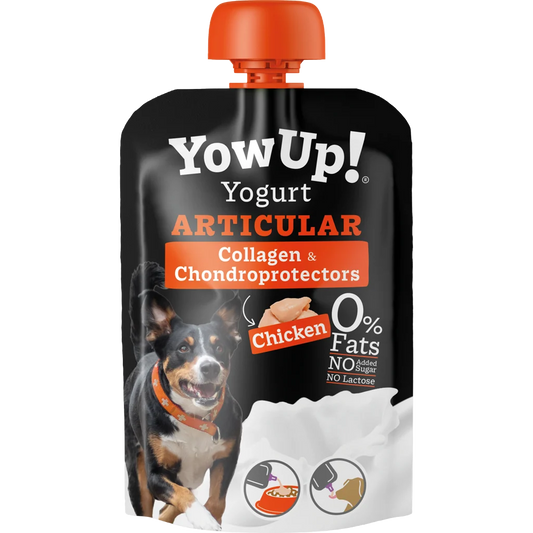 YowUp! Yogurt Articular