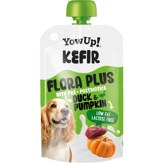YowUp! Kefir Duck & Pumpkin