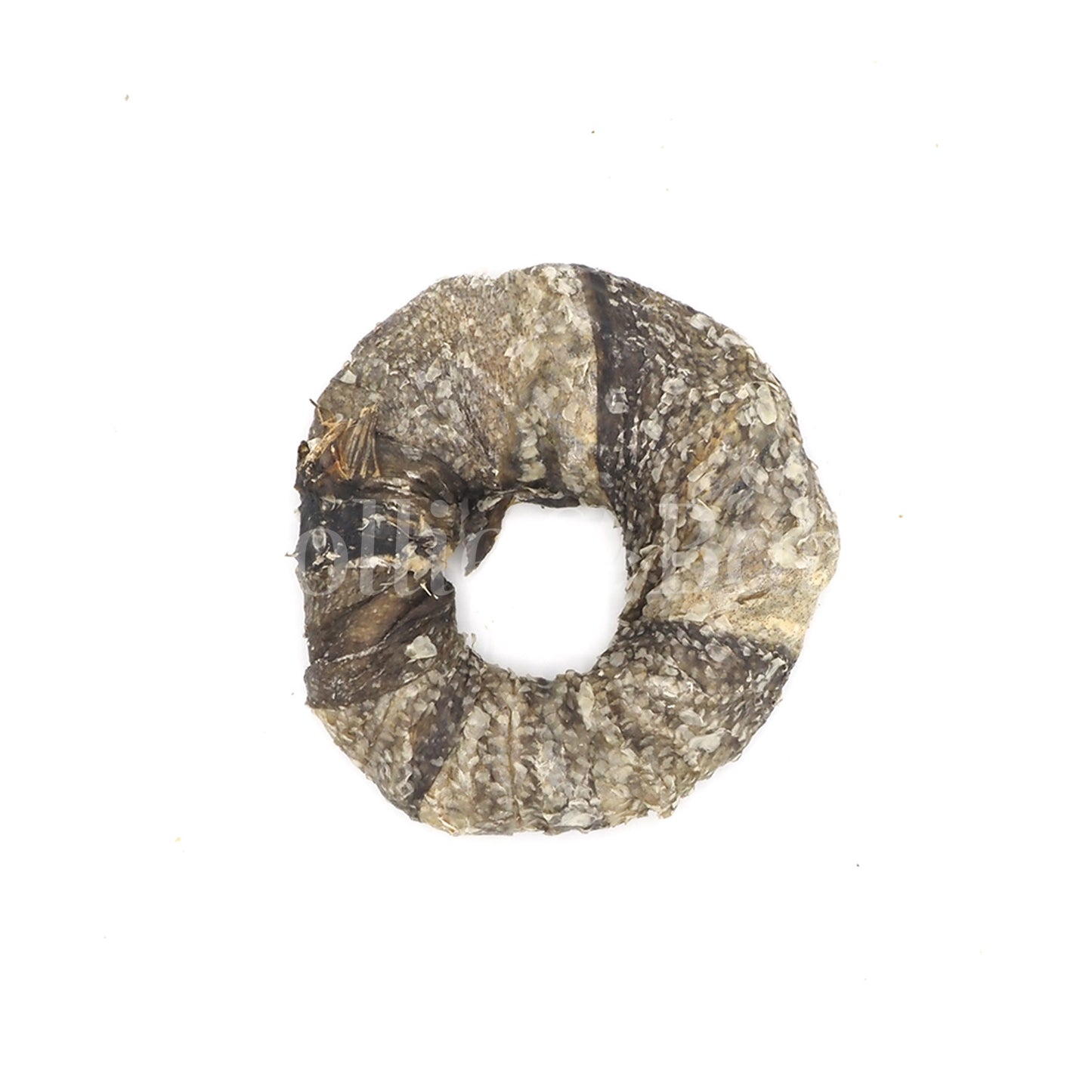 Kabeljauwhuid Donuts