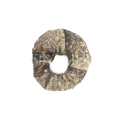 Kabeljauwhuid Donuts