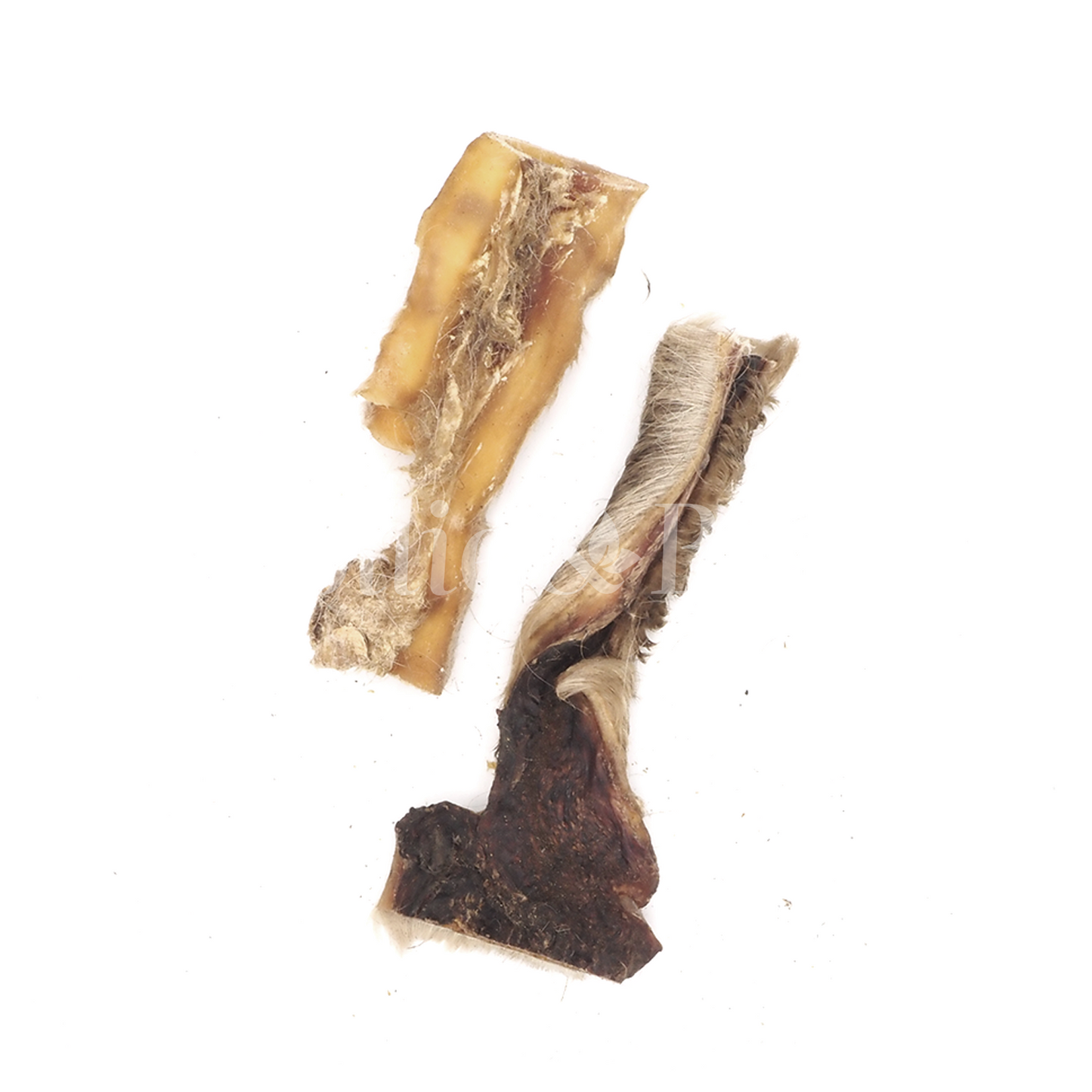 Mollie & Babs Runderkophuid met haar