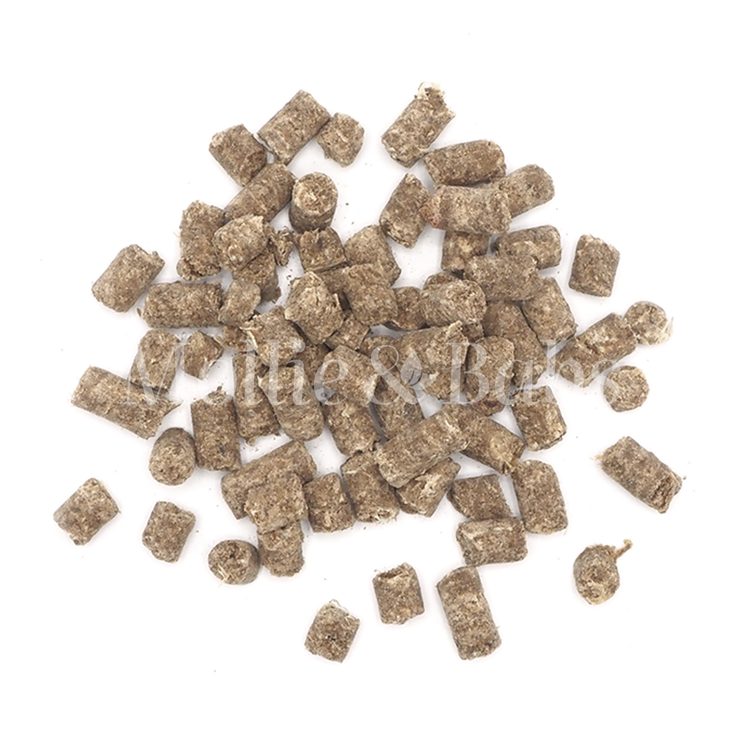 Speurneusjes