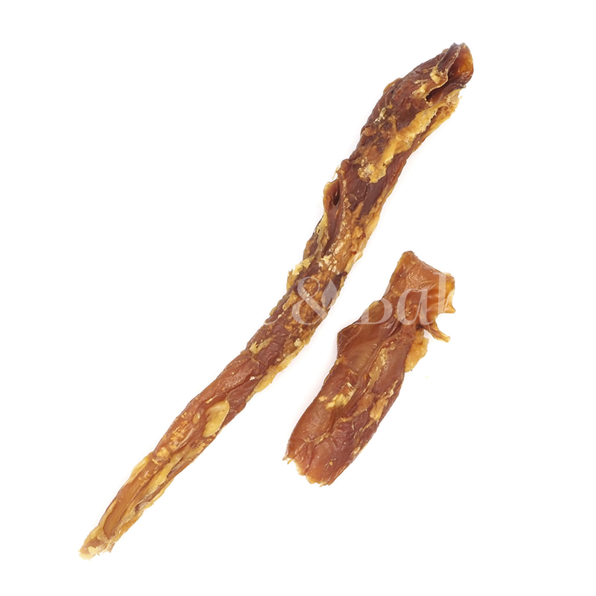 Gedroogde Paardenaorta